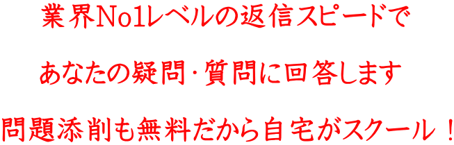 業界No1レベルの返信スピードで あなたの疑問・質問に回答します 問題添削も無料だから自宅がスクール!